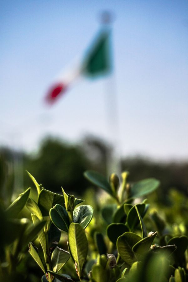 foto:Gabriel Ignacio Cano Dávila - lo hecho en México