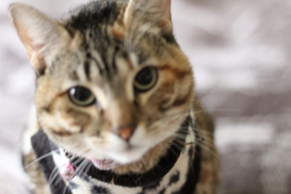 foto:Aldo Alfaro Aguilar - lo hecho en México