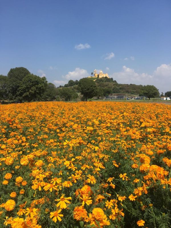 foto:Scarlett Rosas  Villamil  - lo hecho en México