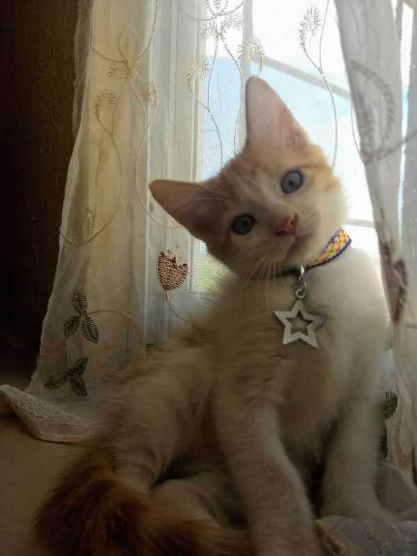 foto:Navil  Torres  Jop - lo hecho en México