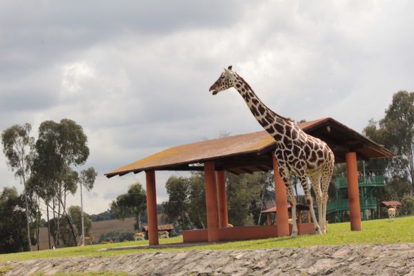 foto:ESTHELA VERONICA VILLEGAS LUJA - lo hecho en México