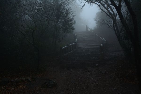 foto:Javier  Aguilar  Tijerina - lo hecho en México