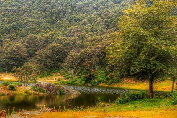 foto:Ernesto Carrillo Ordóñez - lo hecho en México
