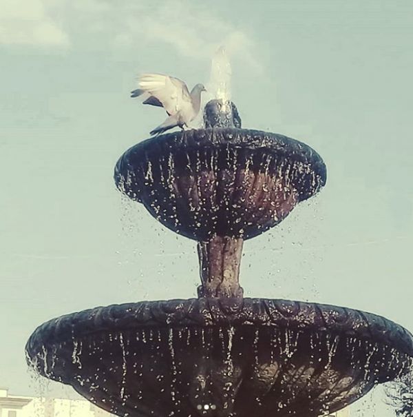 foto:Oscar Eduardo Ortiz Larios - lo hecho en México