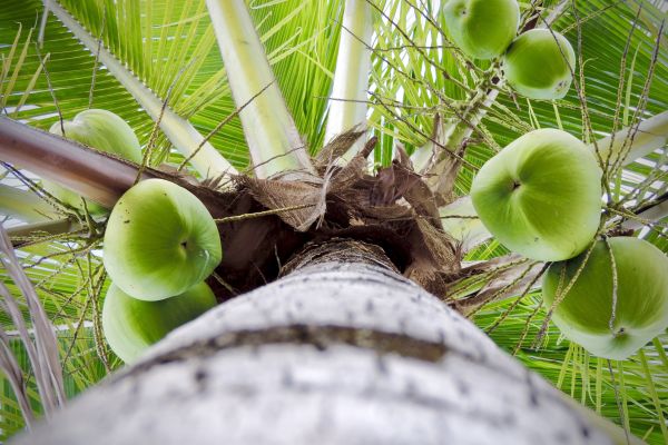 foto:Andrew  Otero Cuevas - lo hecho en México