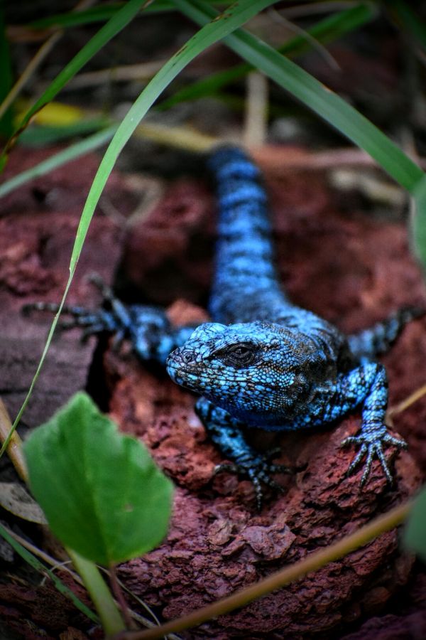 foto:Juan Diego Arias Montiel - lo hecho en México