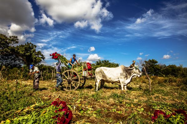 foto:Carlos Gordillo Muñoz - lo hecho en México