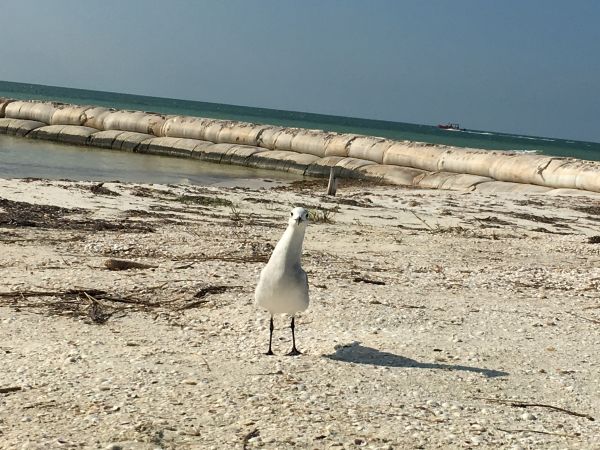 foto:Berenice Guerrero Buenrostro - lo hecho en México