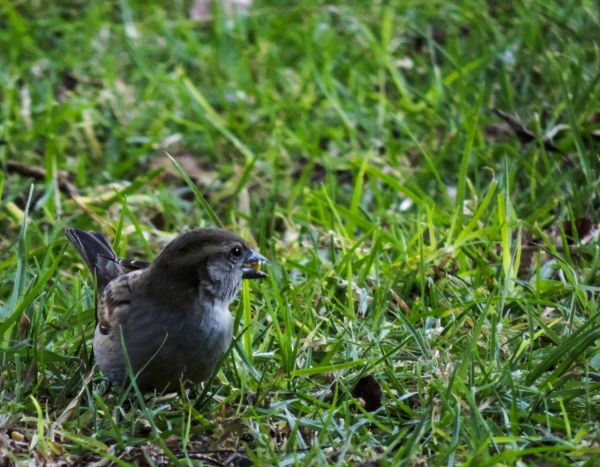 foto:José Alfredo Chisco Parra - lo hecho en México