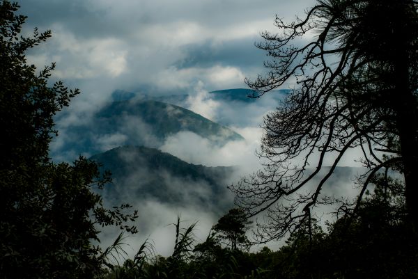 foto:Eugenio Robleda Espinosa - lo hecho en México