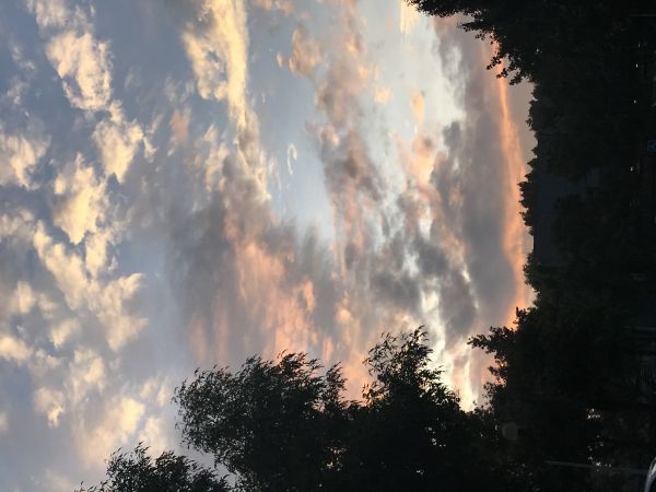 foto:Luis Eduardo  Chavarria  Lomelí  - lo hecho en México