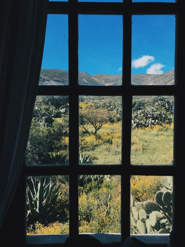 foto:Katherine Eunice  Reynoso Velasco - lo hecho en México