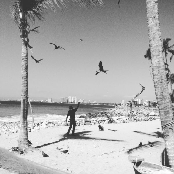 foto:Alvaro Leo Pozos Melchor - lo hecho en México