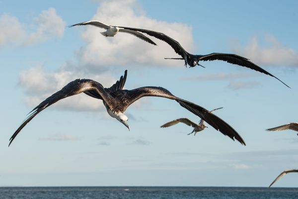 foto:Roberto Eduardo González Vargas - lo hecho en México