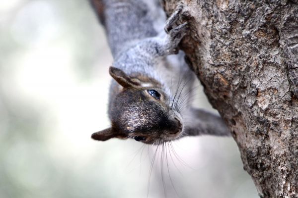 foto:Paloma Mariú  Martínez  Delgado - lo hecho en México