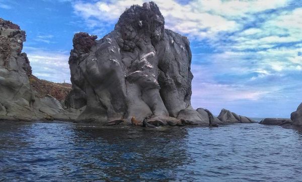 foto:María Dolores  Gutierrez Michimani  - lo hecho en México