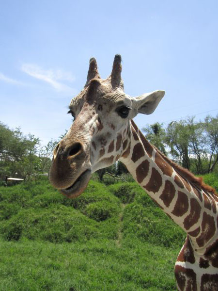 foto:Karla cristina  Varela  Partida  - lo hecho en México
