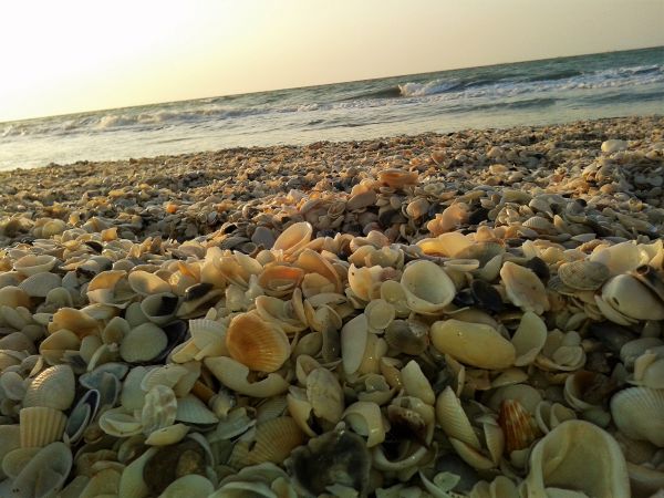 foto:Deisy Guadalupe  Del Valle Barahona - lo hecho en México