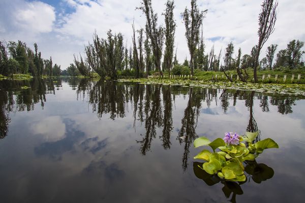 foto:Erika Porras López - lo hecho en México