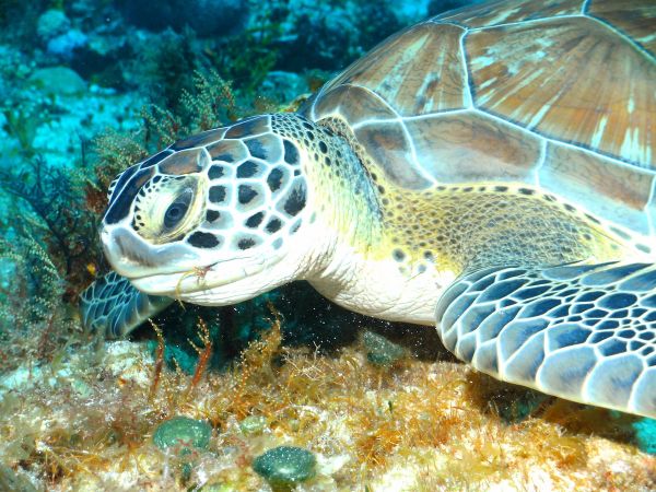 foto:MANUEL ROSETE POZOS - lo hecho en México