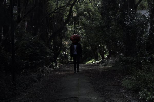 foto:David Antonio  Gomez  Sanchez  - lo hecho en México