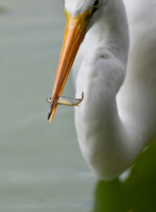 foto:Reynaldo ivan Fernandez Moncada - lo hecho en México