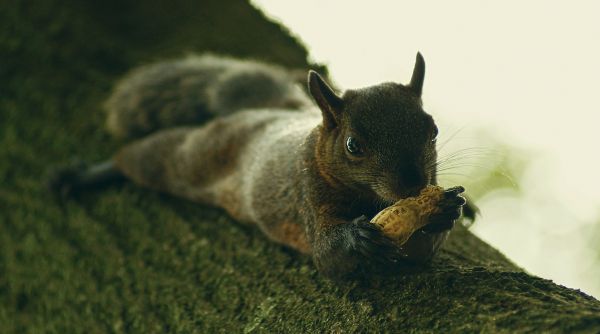 foto:Teocalli Rueda Chávez  - lo hecho en México