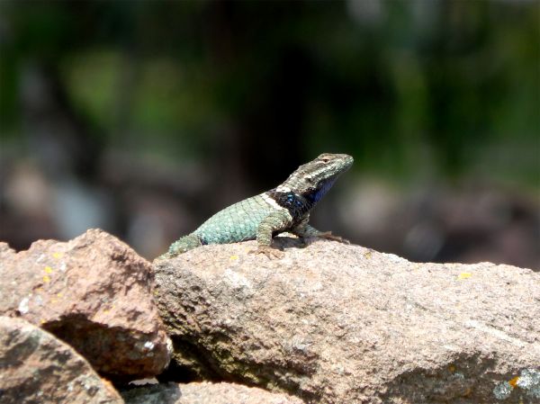 foto:Erika Margarita Sáenz Martínez - lo hecho en México