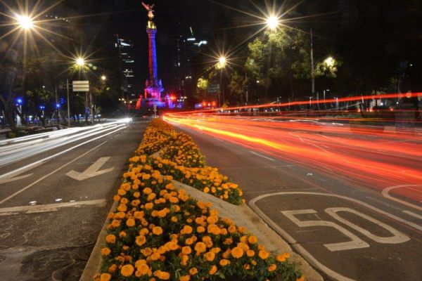 foto:CORAL  OLGUIN VAZQUEZ - lo hecho en México