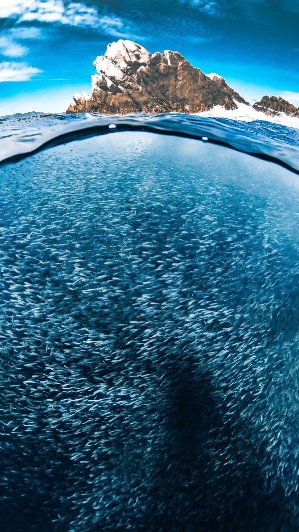 foto:Alejandro  Velasco  Bernache  - lo hecho en México