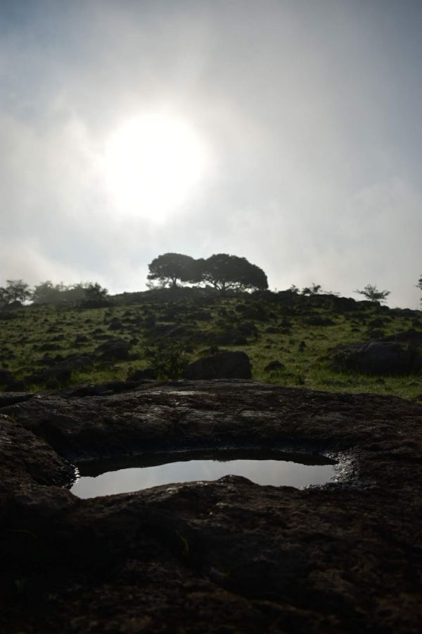 foto:ANA LILIA BRISEÑO PEREZ - lo hecho en México