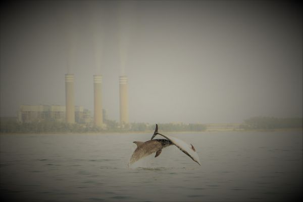 foto:Anahí Ojeda Sánchez - lo hecho en México