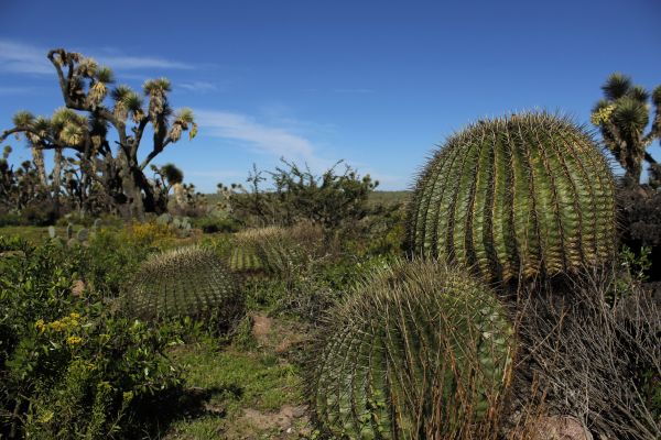 foto:Edgar Salvador Ramírez Cruz - lo hecho en México