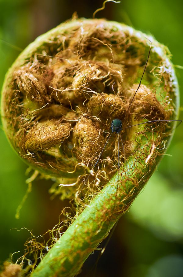foto:Héctor Ayala Vargas - lo hecho en México