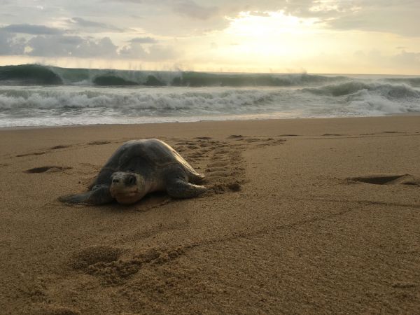 foto:Diana Contreras Negrete  - lo hecho en México