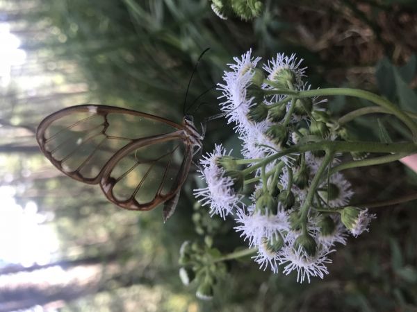foto:Karen Elideth  Chávez  Silva  - lo hecho en México