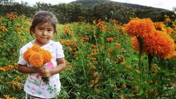 foto:Walter Alejandro Contreras Franco  - lo hecho en México