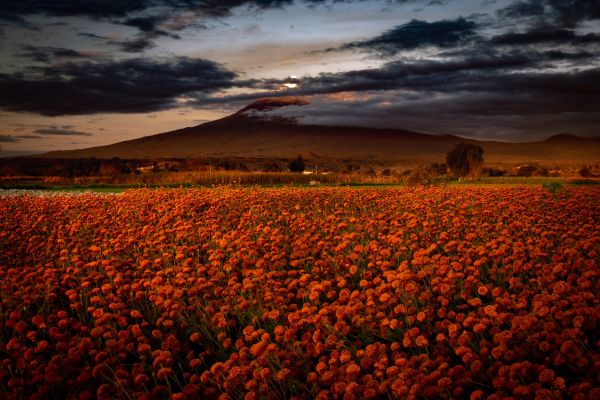 foto:Marco antonio Hernández Alcántara - lo hecho en México