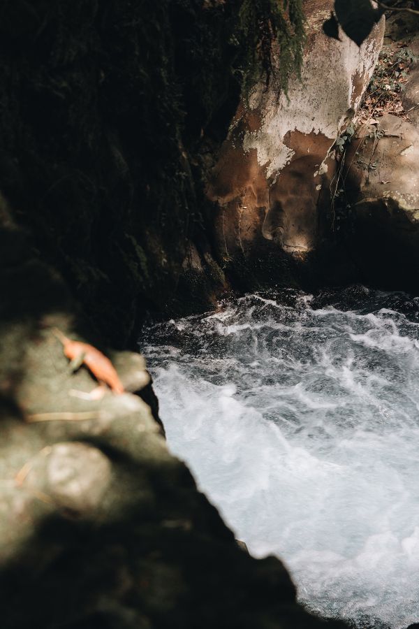 foto:Nepita Nepita Nepita - lo hecho en México