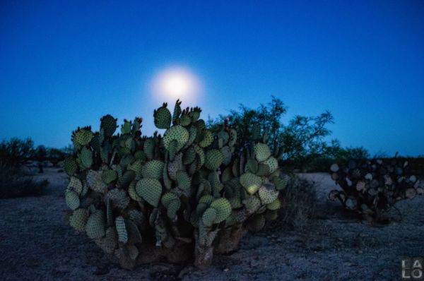 foto:JESÚS EDUARDO GONZÁLEZ LARIOS - lo hecho en México