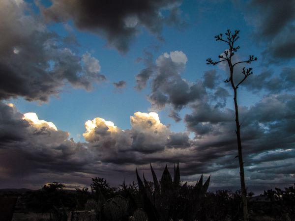 foto:Eduardo  Muñoz Alvarez del Castillo - lo hecho en México