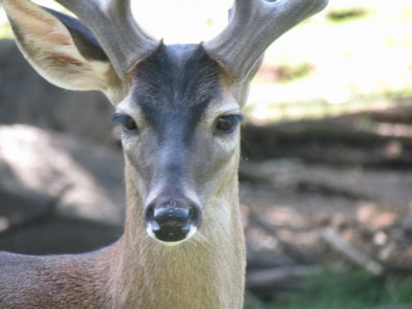 foto:Karla Cristina  Varela  Partida  - lo hecho en México