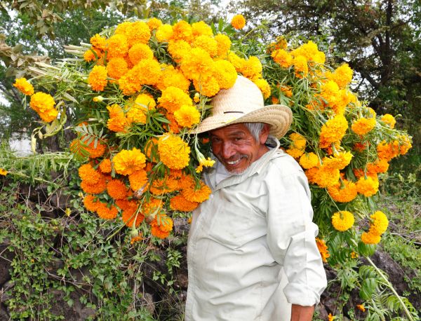 foto:Juan Antonio Berlanga Zubiaga - lo hecho en México