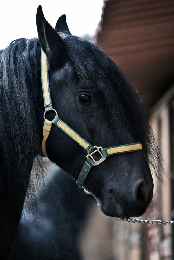 foto:andrea de la garza hernandez - lo hecho en México