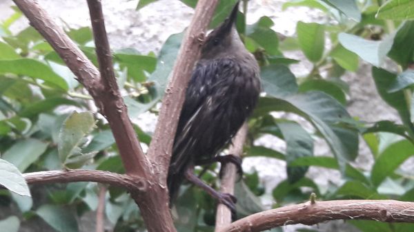 foto:Liliana Villaseñor Casillas - lo hecho en México