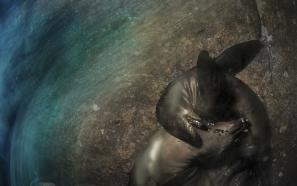 foto:Edgar Eduardo Becerril García - lo hecho en México