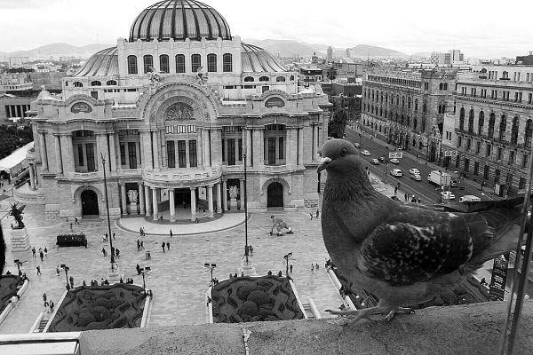 foto:Irma Itzel Lara Pacheco - lo hecho en México