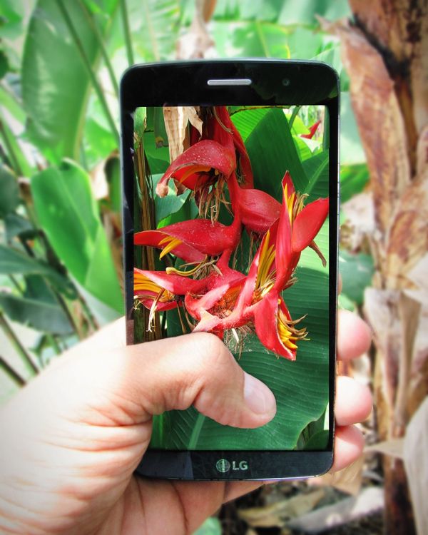 foto:Luis  Jimenez  Meza - lo hecho en México