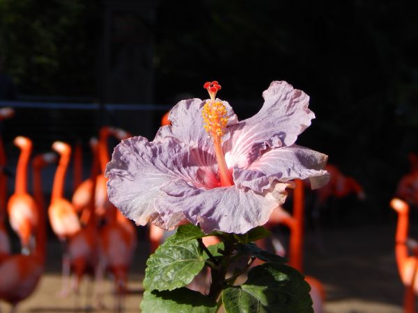 foto:sergio tinoco ramirez - lo hecho en México