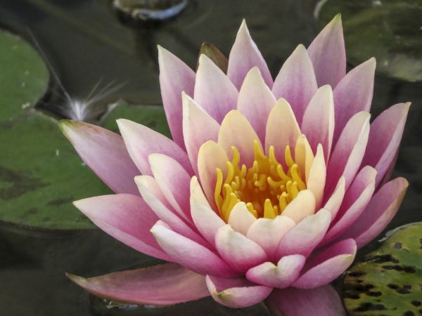 foto:olivia ponce de leon arroyo - lo hecho en México